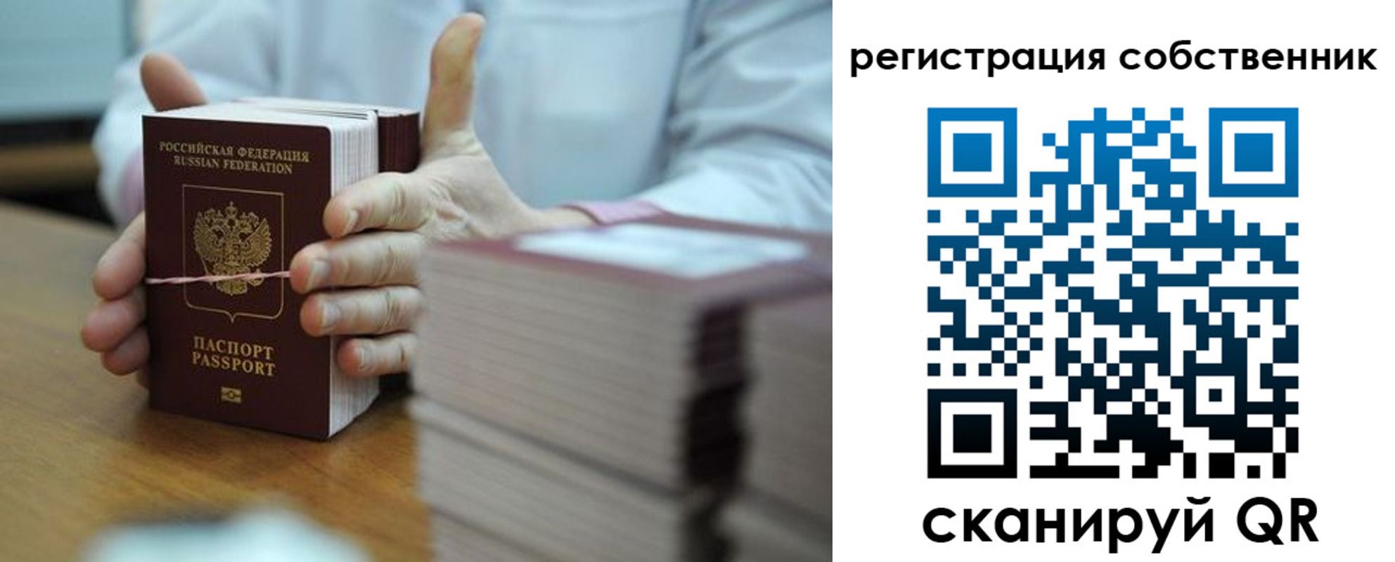 временная регистрация гарантия в Бородино