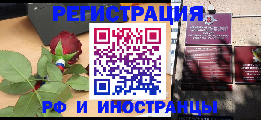 найти адрес прописки в Бородино